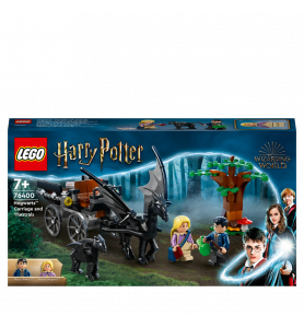 La diligence et les sombrals de Poudlard