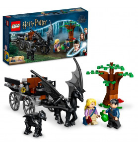 La diligence et les sombrals de Poudlard