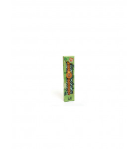 Montre tigre - Djeco DD00425