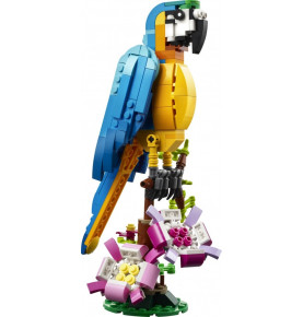 Le perroquet exotique - LEGO® Creator Expert - 31136