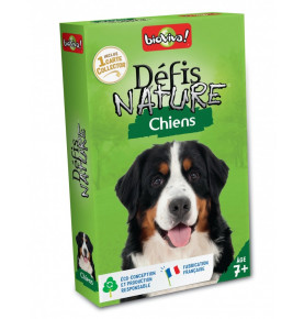 Défis nature chiens