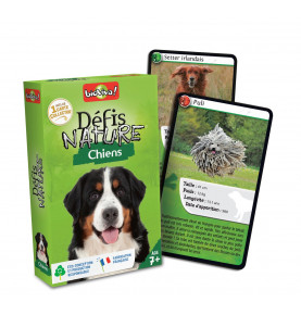 Défis nature chiens