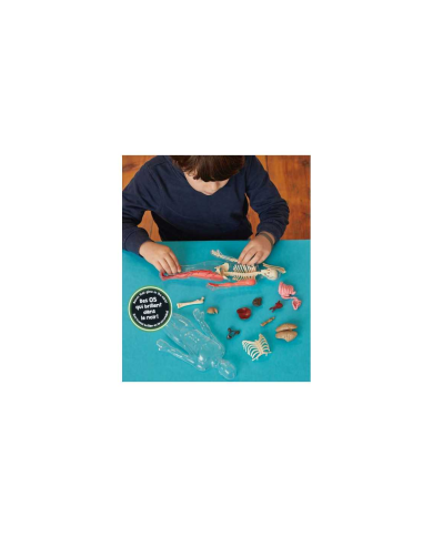 Je découvre le corps humain - Auzou